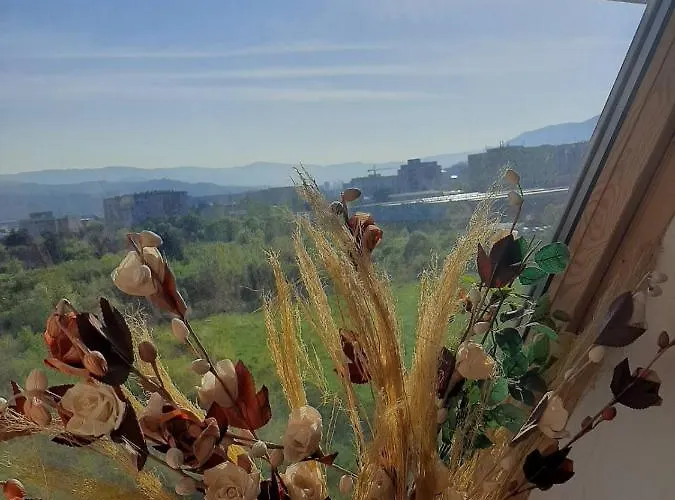 Maki & Dare Ilidza * סראייבו